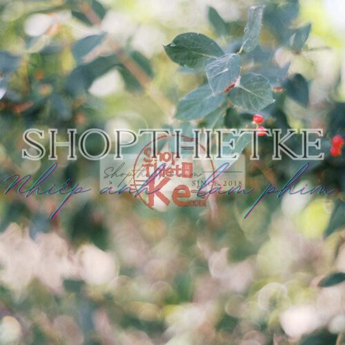 The Green Pack III – Bộ Profile Giả Lập Phim Fujifilm Cổ Điển (XMP)