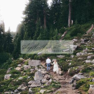 The Yellow Pack IV – Bộ Profile Giả Lập Phim Kodak Cổ Điển (XMP)