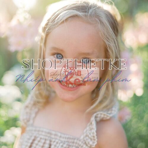 The Yellow Pack IV – Bộ Profile Giả Lập Phim Kodak Cổ Điển (XMP)