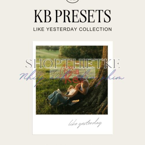 Preset Lightroom Cho RAW – Tông Màu 35mm và Polaroid Độc Đáo (XMP)