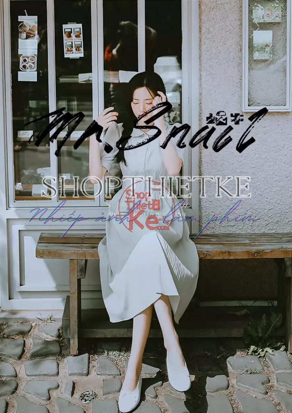 Bộ 5 Preset & LUTs Giả Lập Phim Polaroid – Hiệu Ứng Ảnh Cổ Điển (XMP/CUBE) 4 shopthietke com Shopthietke.com 256