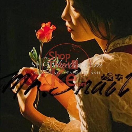 05 Preset & LUTs – Tone Màu Hong Kong Vương Gia Vệ 2025 Đậm Chất Điện Ảnh (XMP/CUBE)