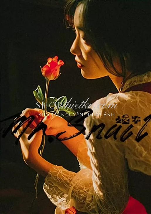 05 Preset & LUTs – Tone Màu Hong Kong Vương Gia Vệ 2025 Đậm Chất Điện Ảnh (XMP/CUBE)
