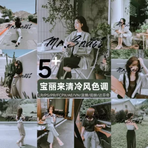 Bộ 5 Preset & LUTs Giả Lập Phim Polaroid – Hiệu Ứng Ảnh Cổ Điển (XMP/CUBE)