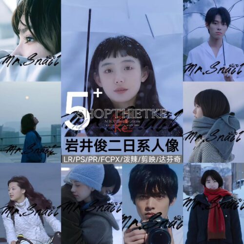 05 Preset & LUT "Iwai Shunji" – Tone Mùa Đông Lạnh Nhẹ, Lãng Mạn & Hoài Niệm (XMP/CUBE)