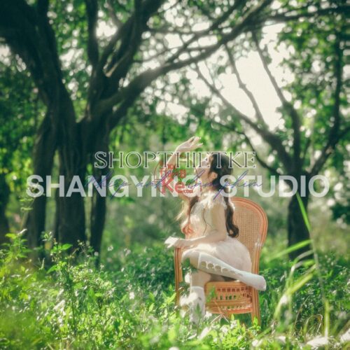 shopthietke com Shopthietke.com 353 scaled