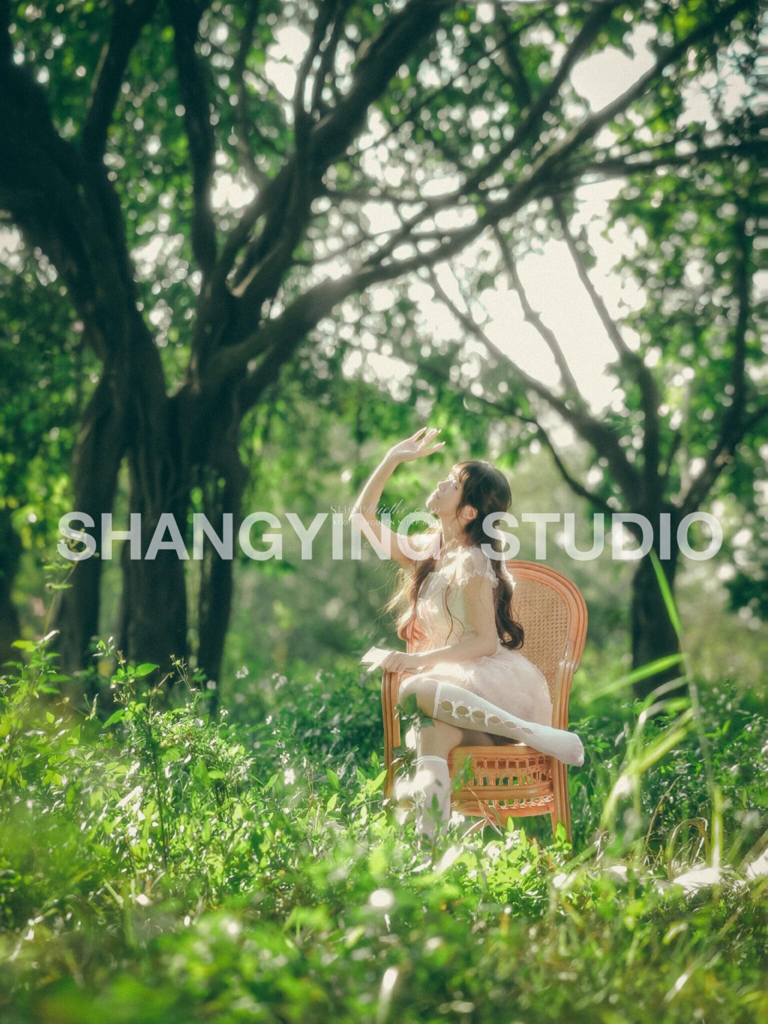 27 Preset & LUT "Forest Girl" – Tone Xanh Rừng, Nhẹ Nhàng & Cổ Điển (XMP/CUBE) 18 shopthietke com Shopthietke.com 353 scaled