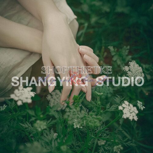 shopthietke com Shopthietke.com 356