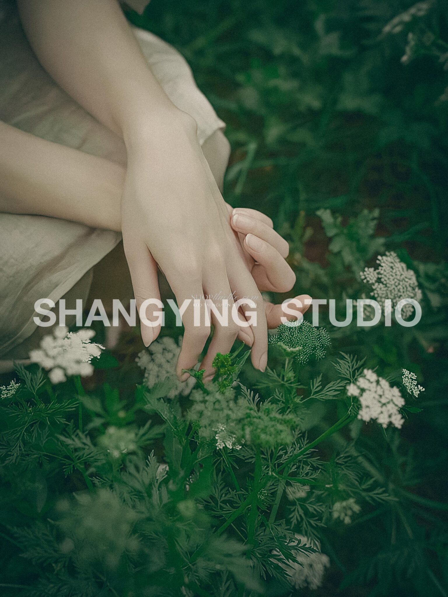 27 Preset & LUT "Forest Girl" – Tone Xanh Rừng, Nhẹ Nhàng & Cổ Điển (XMP/CUBE) 15 shopthietke com Shopthietke.com 356