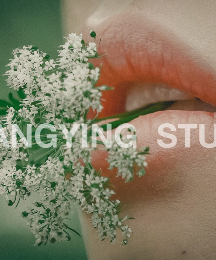 27 Preset & LUT "Forest Girl" – Tone Xanh Rừng, Nhẹ Nhàng & Cổ Điển (XMP/CUBE)