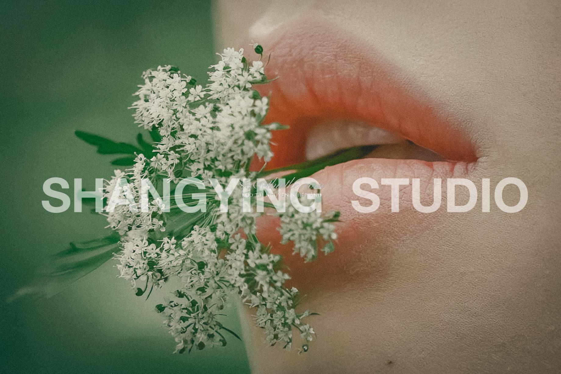 27 Preset & LUT "Forest Girl" – Tone Xanh Rừng, Nhẹ Nhàng & Cổ Điển (XMP/CUBE) 12 shopthietke com Shopthietke.com 359