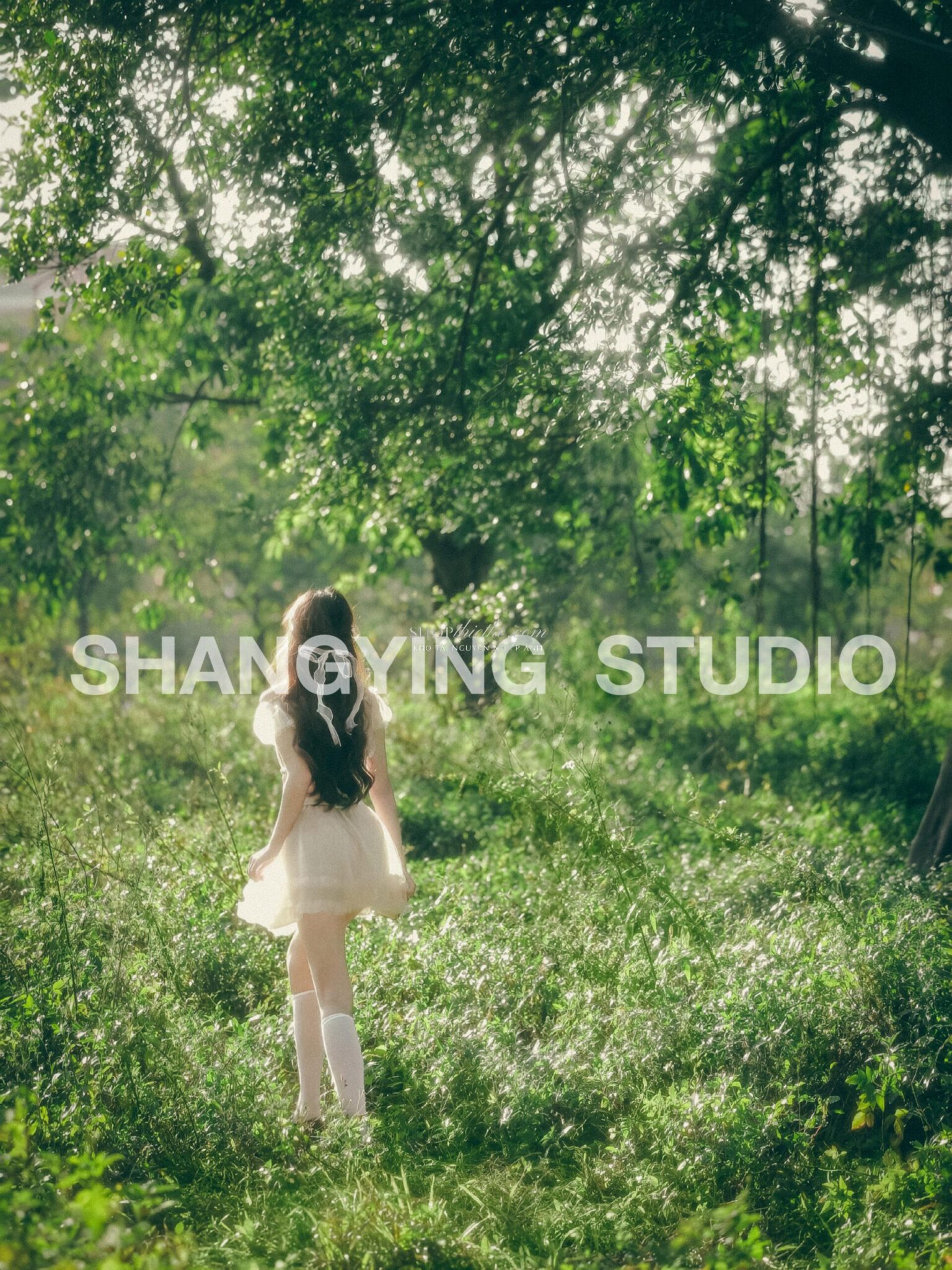27 Preset & LUT "Forest Girl" – Tone Xanh Rừng, Nhẹ Nhàng & Cổ Điển (XMP/CUBE) 7 shopthietke com Shopthietke.com 364 scaled