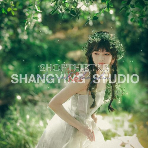 shopthietke com Shopthietke.com 367 scaled