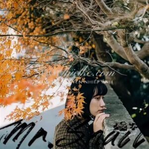 38 Preset & LUT "Outdoor Nature" – Màu Sắc Tự Nhiên & Chuyên Nghiệp (XMP/CUBE)