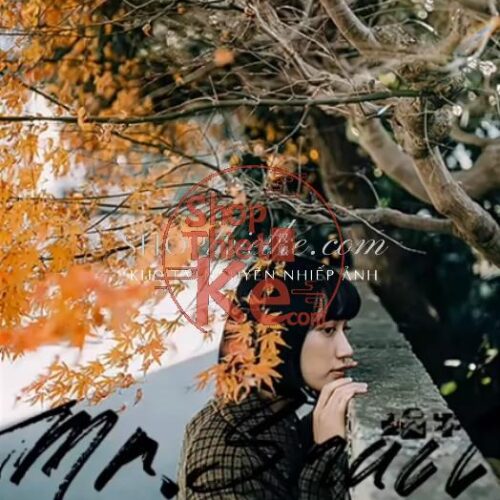 38 Preset & LUT "Outdoor Nature" – Màu Sắc Tự Nhiên & Chuyên Nghiệp (XMP/CUBE)