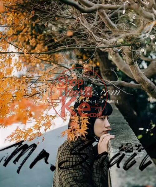 38 Preset & LUT "Outdoor Nature" – Màu Sắc Tự Nhiên & Chuyên Nghiệp (XMP/CUBE)