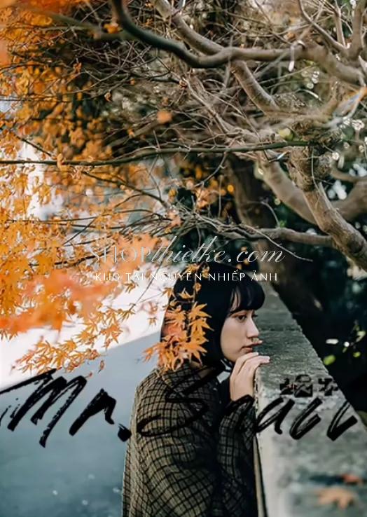 38 Preset & LUT "Outdoor Nature" – Màu Sắc Tự Nhiên & Chuyên Nghiệp (XMP/CUBE) 6 shopthietke com Shopthietke.com 374