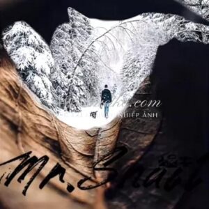 38 Preset & LUT "Outdoor Nature" – Màu Sắc Tự Nhiên & Chuyên Nghiệp (XMP/CUBE)