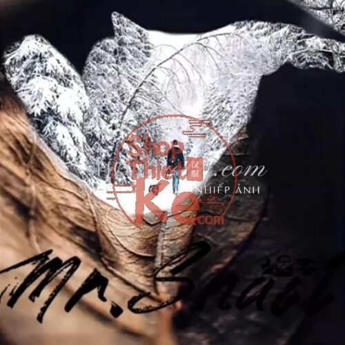 38 Preset & LUT "Outdoor Nature" – Màu Sắc Tự Nhiên & Chuyên Nghiệp (XMP/CUBE)