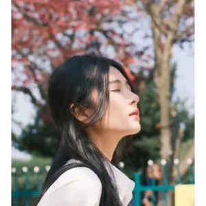 49 Preset Fuji & Kodak – Hiệu Ứng Film Nhật Bản Cho Ảnh & Video (XMP/CUBE)