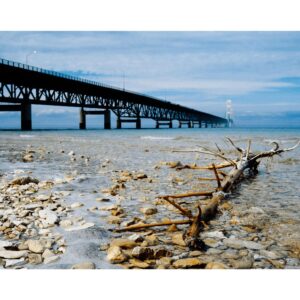 Tái Hiện Màu Phim Kodak Với Bộ Preset Lightroom Ektachrome 100 & 200 (XMP)