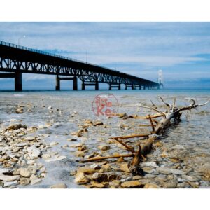 Tái Hiện Màu Phim Kodak Với Bộ Preset Lightroom Ektachrome 100 & 200 (XMP) 11 shopthietke com 5 scaled