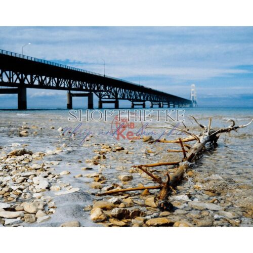 Tái Hiện Màu Phim Kodak Với Bộ Preset Lightroom Ektachrome 100 & 200 (XMP)