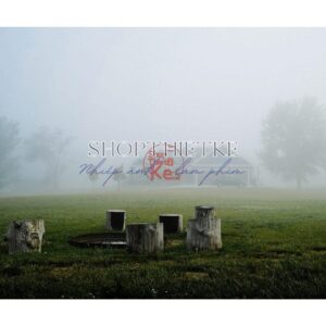 Tái Hiện Màu Phim Kodak Với Bộ Preset Lightroom Ektachrome 100 & 200 (XMP) 14 shopthietke com 6 scaled