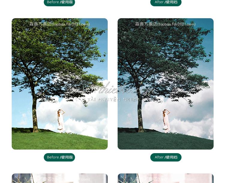 shopthietke com Shopthietke.com 115