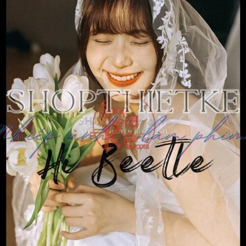 26 Preset Màu Phim Kodak Trung Quốc – Ám Vàng, Grain Cổ Điển (XMP/CUBE)