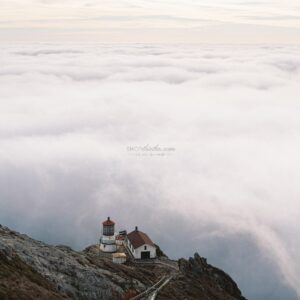 The Yellow Pack Pro - Gói Cài Đặt Sẵn Tone Màu Film Âu Mỹ Chuyên Nghiệp (XMP/ Profile) 13 shopthietke com Shopthietke.com 53