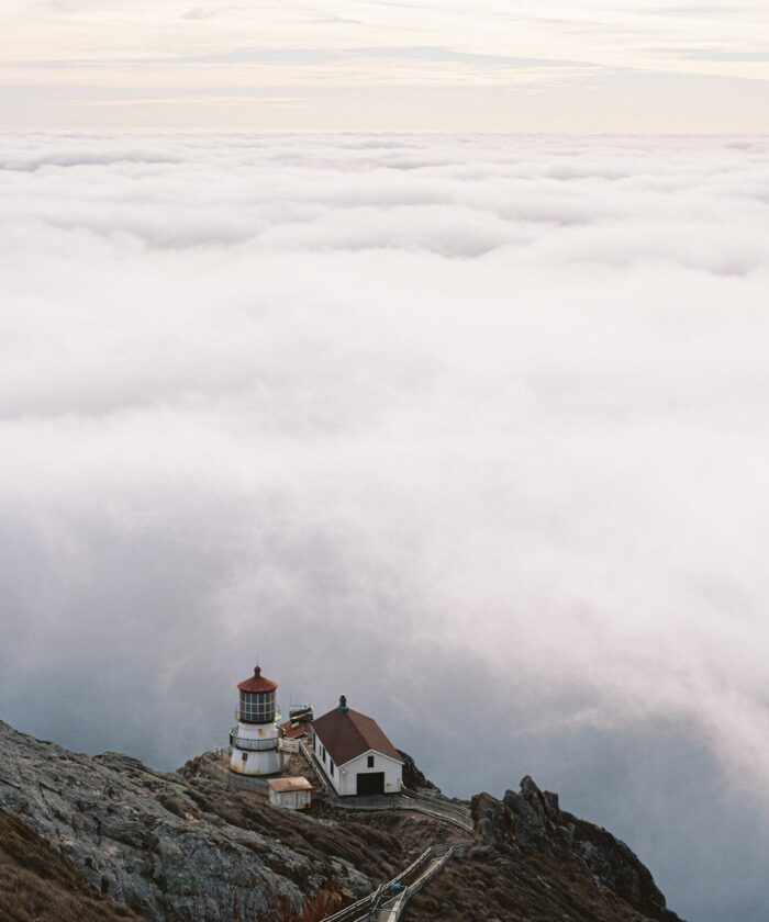 The Yellow Pack Pro - Gói Cài Đặt Sẵn Tone Màu Film Âu Mỹ Chuyên Nghiệp (XMP/ Profile)