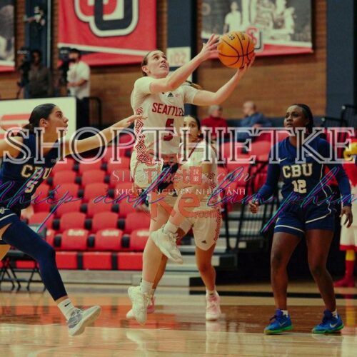 shopthietke com anh 57