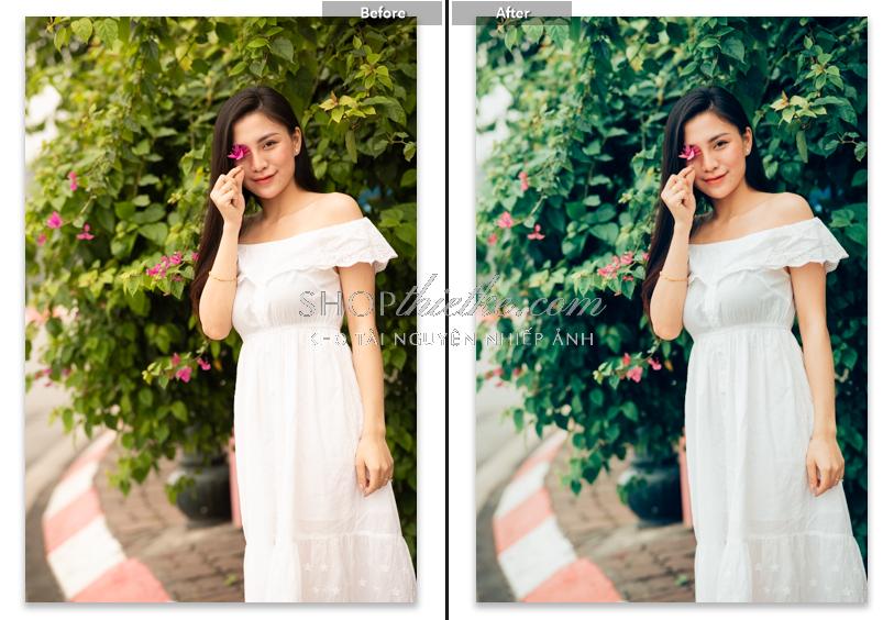 shopthietke com anh 92