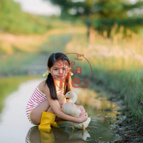 Trọn Bộ 12 Preset Lightroom "Aether" Từ Nhiếp Ảnh Gia Sotiris Tsakanikas (XMP)