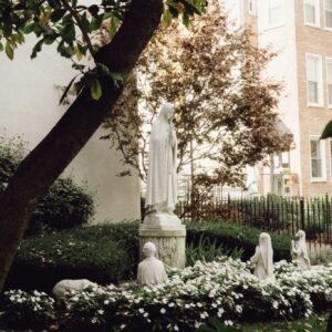 Caleb Salvadori Film Preset V6: Tái Hiện Phim Analog Trong Lightroom (XMP)