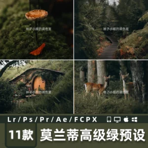 11 Preset & LUT Tông Xanh Morandi Cao Cấp – Nhẹ Nhàng, Tinh Tế, Sang Trọng (XMP/DNG/CUBE/COS)