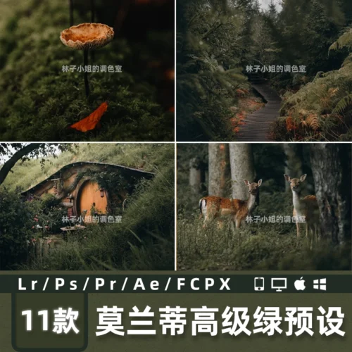 11 Preset & LUT Tông Xanh Morandi Cao Cấp – Nhẹ Nhàng, Tinh Tế, Sang Trọng (XMP/DNG/CUBE/COS)