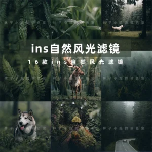 16 Preset & LUT Tông Tự Nhiên Ngoài Trời INS – Đậm Chất Chill, Trong Trẻo & Sống Động (XMP/DNG/CUBE/COS)