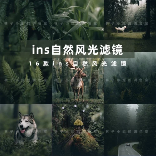 16 Preset & LUT Tông Tự Nhiên Ngoài Trời INS – Đậm Chất Chill, Trong Trẻo & Sống Động (XMP/DNG/CUBE/COS)