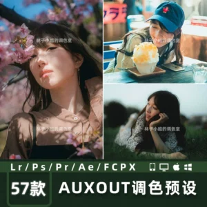 Trọn Bộ Preset Chỉnh Màu Auxout Dành Cho Youtube/Sony - Hiệu Ứng Phim Điện Ảnh Chuyên Nghiệp (XMP/CUBE/COS)