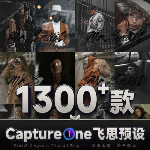 Bộ Sưu Tập Preset Capture One Đa Phong Cách - Mr.Snail Presets (COS PACK)