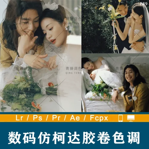 04 Màu Phim Kodak Chân Dung & Ảnh Cưới – Profile XMP