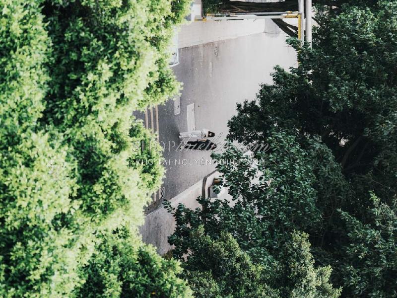 Bộ 94 Preset Presetszone 2025 - Giải Pháp Chỉnh Màu Đa Phong Cách Cho Mọi Thể Loại Ảnh (XMP/DNG/CUBE) 62 shopthietke com No25 FIML003