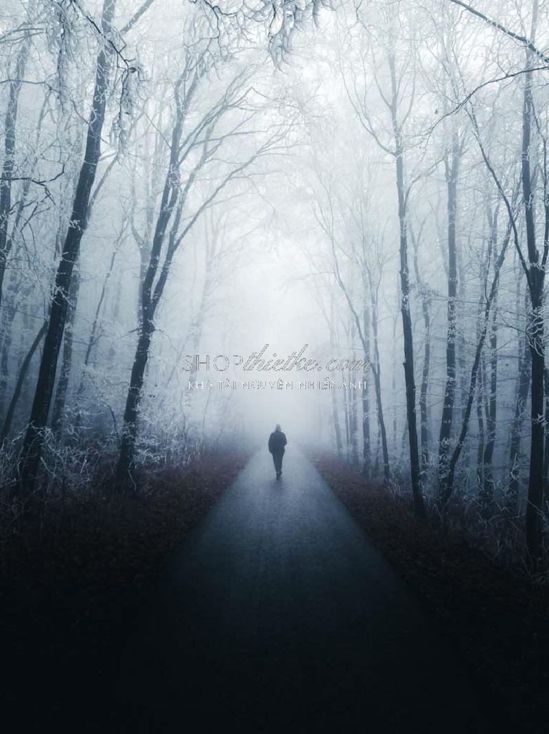 Bộ 94 Preset Presetszone 2025 - Giải Pháp Chỉnh Màu Đa Phong Cách Cho Mọi Thể Loại Ảnh (XMP/DNG/CUBE) 80 shopthietke com No43 INS003