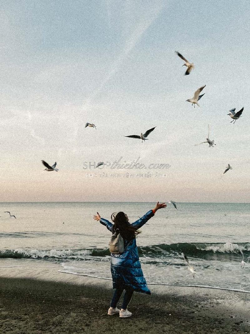 Bộ 94 Preset Presetszone 2025 - Giải Pháp Chỉnh Màu Đa Phong Cách Cho Mọi Thể Loại Ảnh (XMP/DNG/CUBE) 81 shopthietke com No44 FILM004