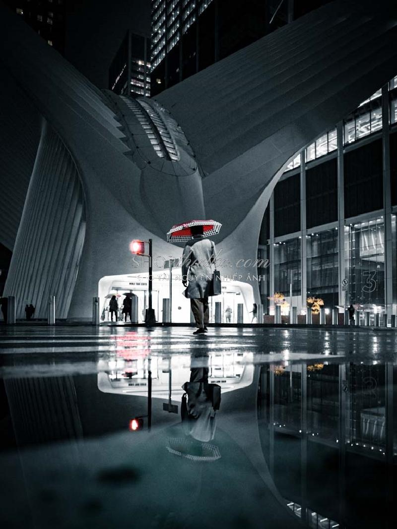 Bộ 94 Preset Presetszone 2025 - Giải Pháp Chỉnh Màu Đa Phong Cách Cho Mọi Thể Loại Ảnh (XMP/DNG/CUBE) 90 shopthietke com No53 INS007