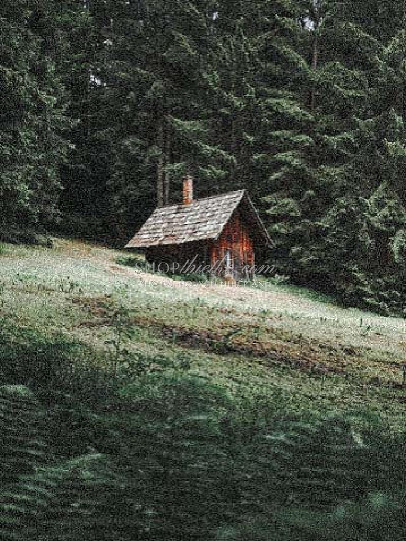 Bộ 94 Preset Presetszone 2025 - Giải Pháp Chỉnh Màu Đa Phong Cách Cho Mọi Thể Loại Ảnh (XMP/DNG/CUBE) 98 shopthietke com No61 VINTAGE001