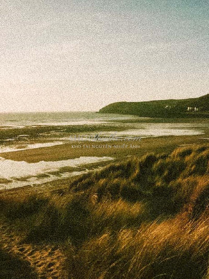 Bộ 94 Preset Presetszone 2025 - Giải Pháp Chỉnh Màu Đa Phong Cách Cho Mọi Thể Loại Ảnh (XMP/DNG/CUBE) 100 shopthietke com No63 VINTAGE003