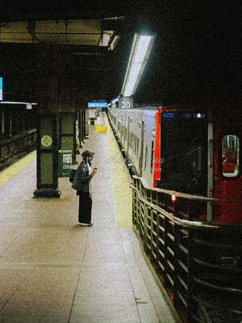 Bộ 94 Preset Presetszone 2025 - Giải Pháp Chỉnh Màu Đa Phong Cách Cho Mọi Thể Loại Ảnh (XMP/DNG/CUBE) 101 shopthietke com No64 VINTAGE004